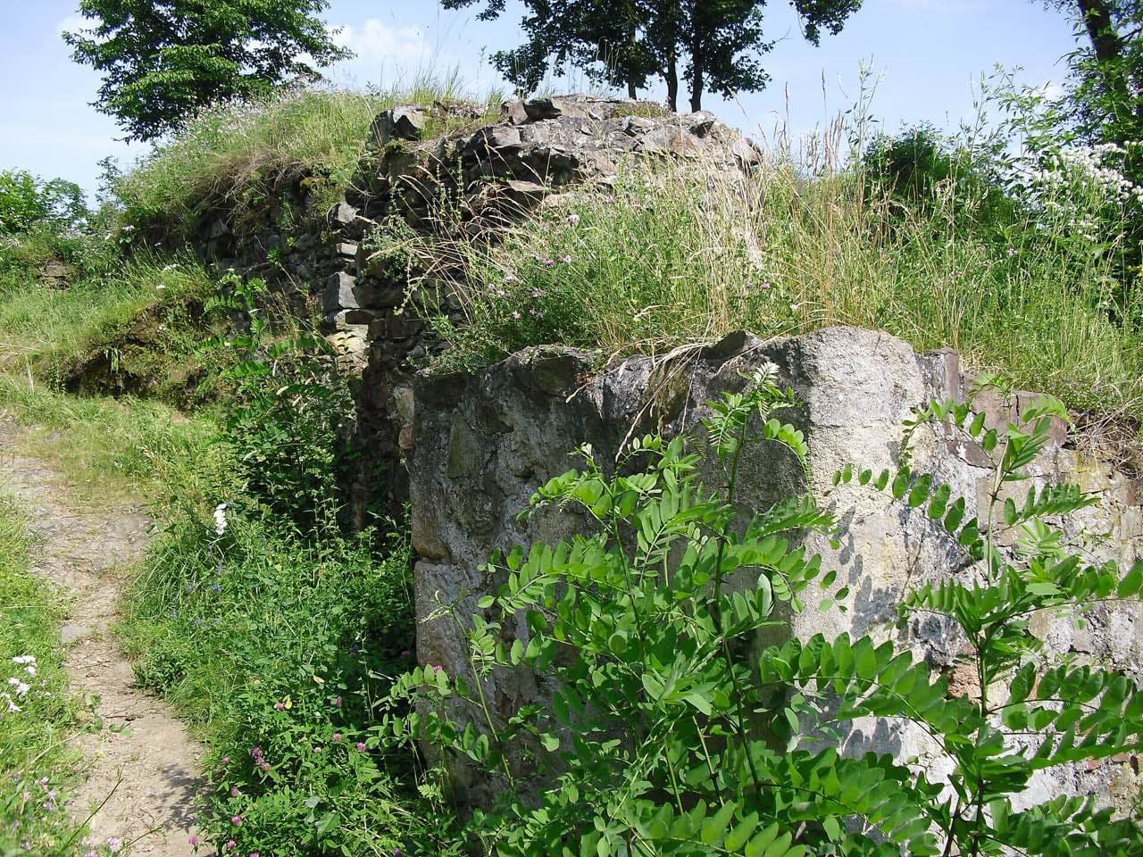 Zřícenina Věžka