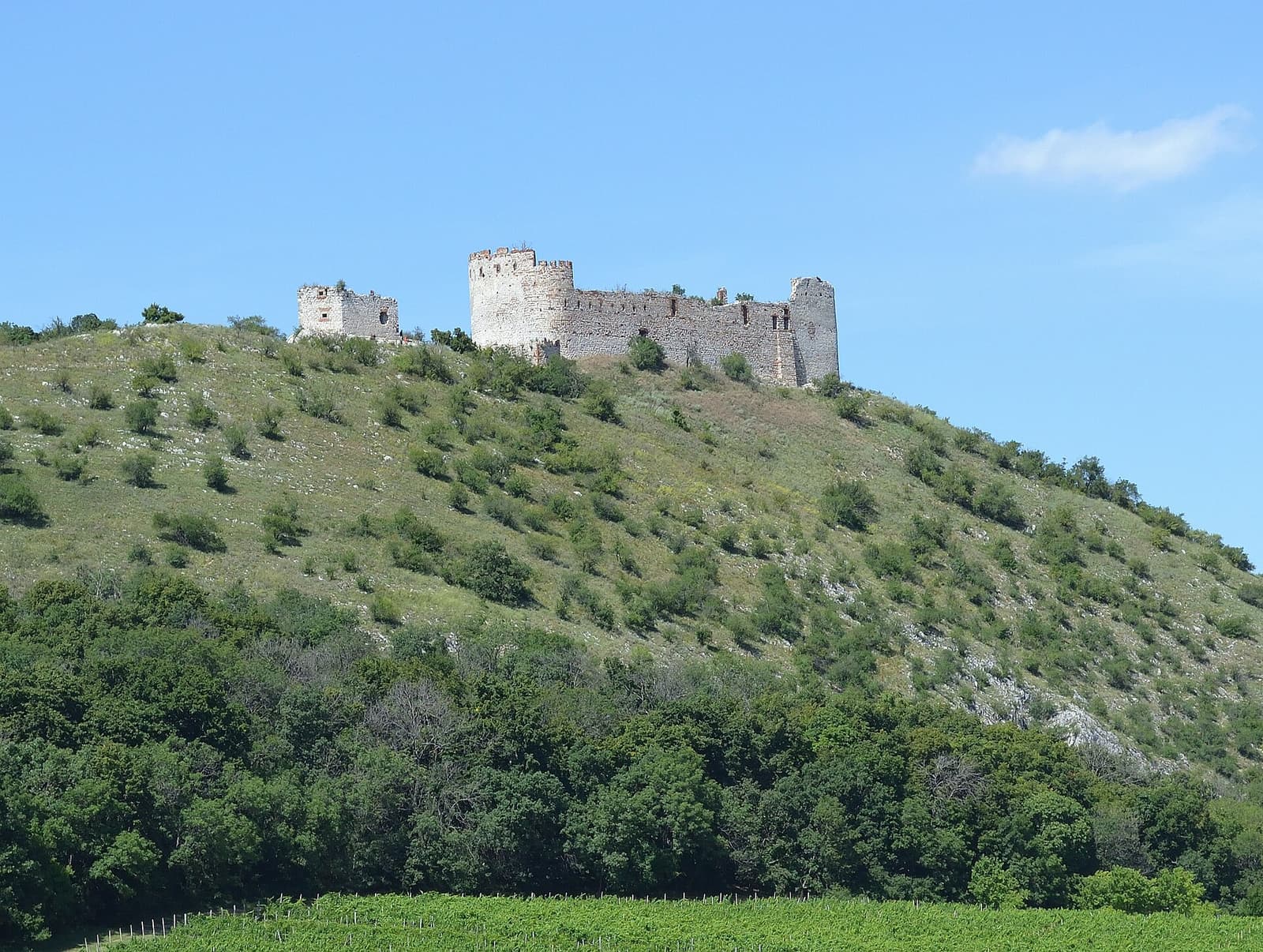 Děvičky