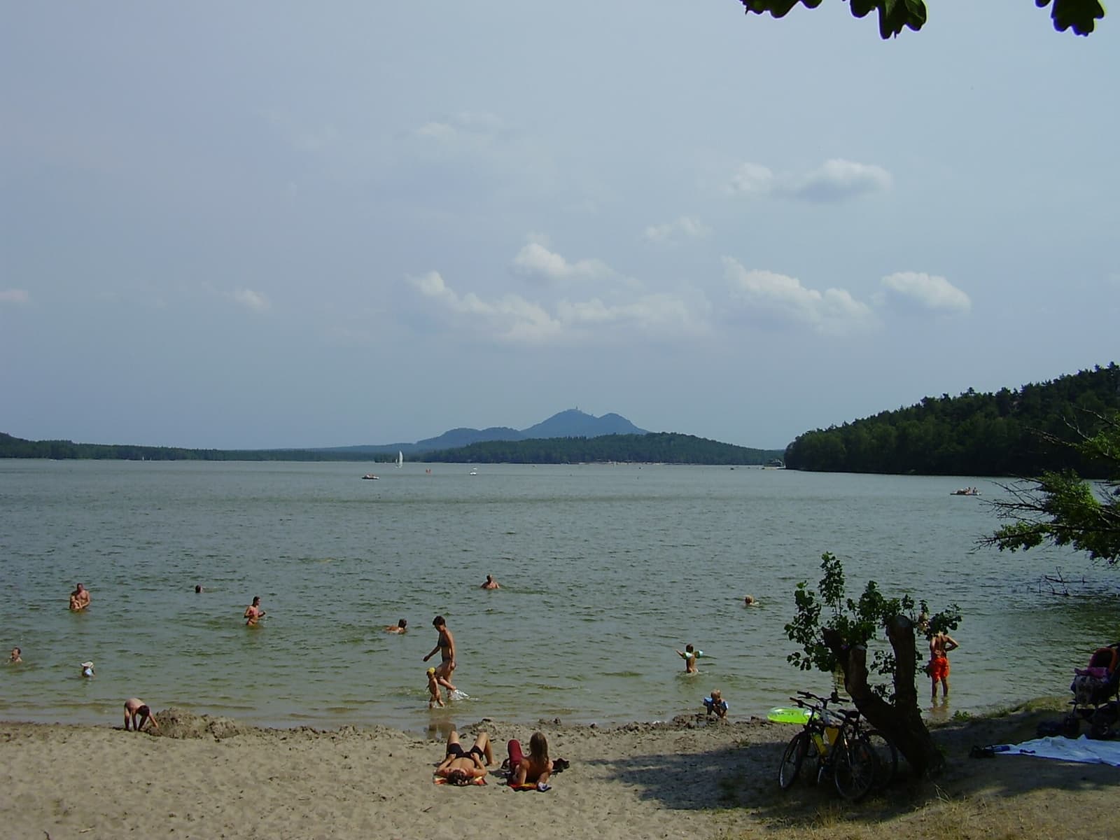 Máchovo jezero