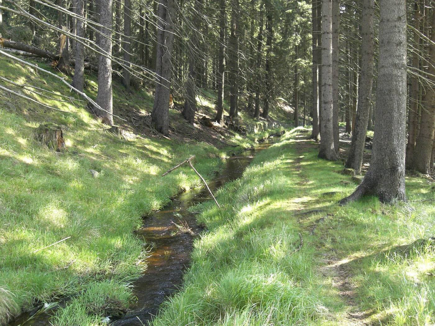 Dlouhá stoka