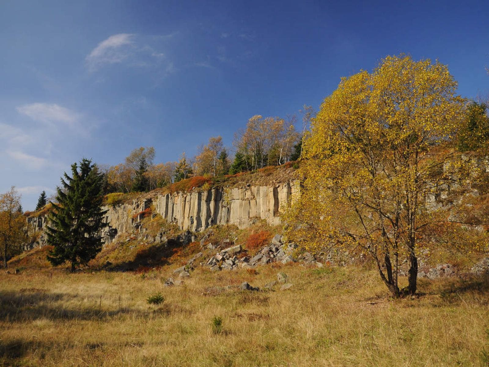 Přírodní rezervace Ryžovna