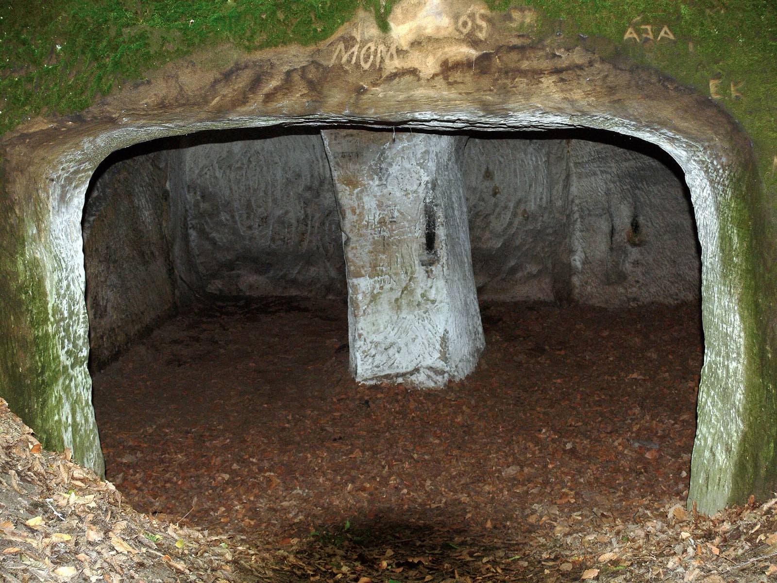 Skalní hrad Hynšta