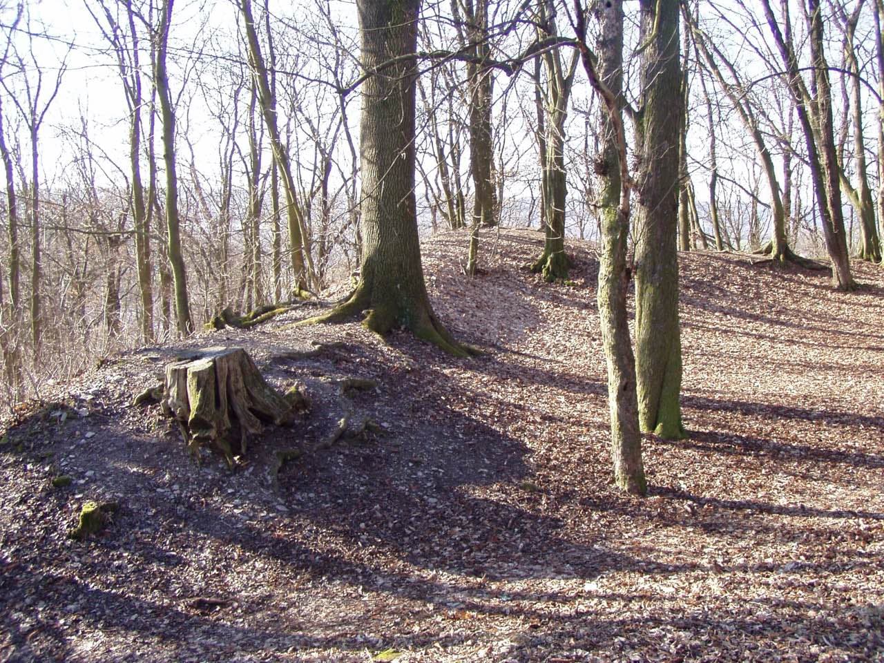 Zřícenina Choustníkovo Hradiště