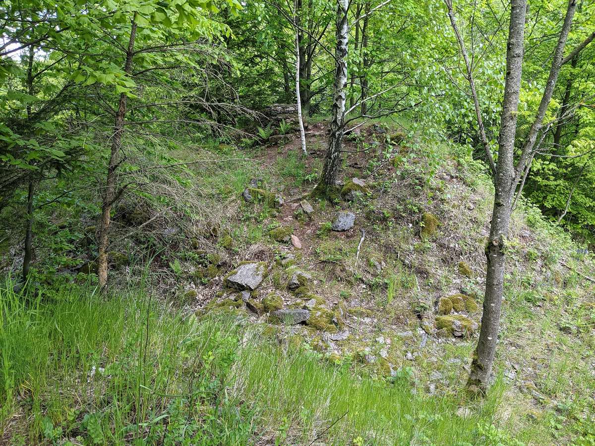 Zřícenina Dobřany