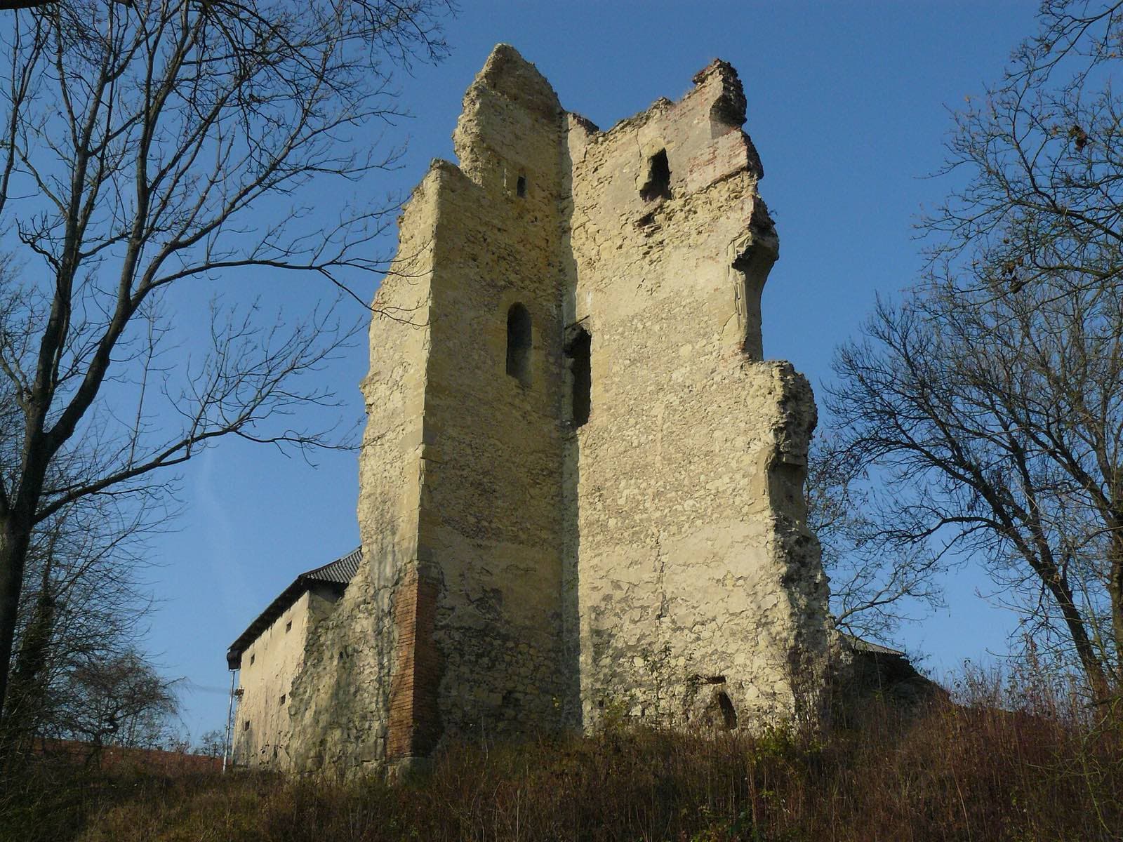 Zřícenina Dražice