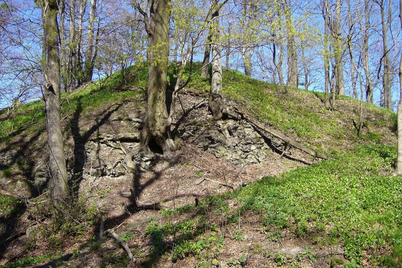 Zřícenina Falkenberk