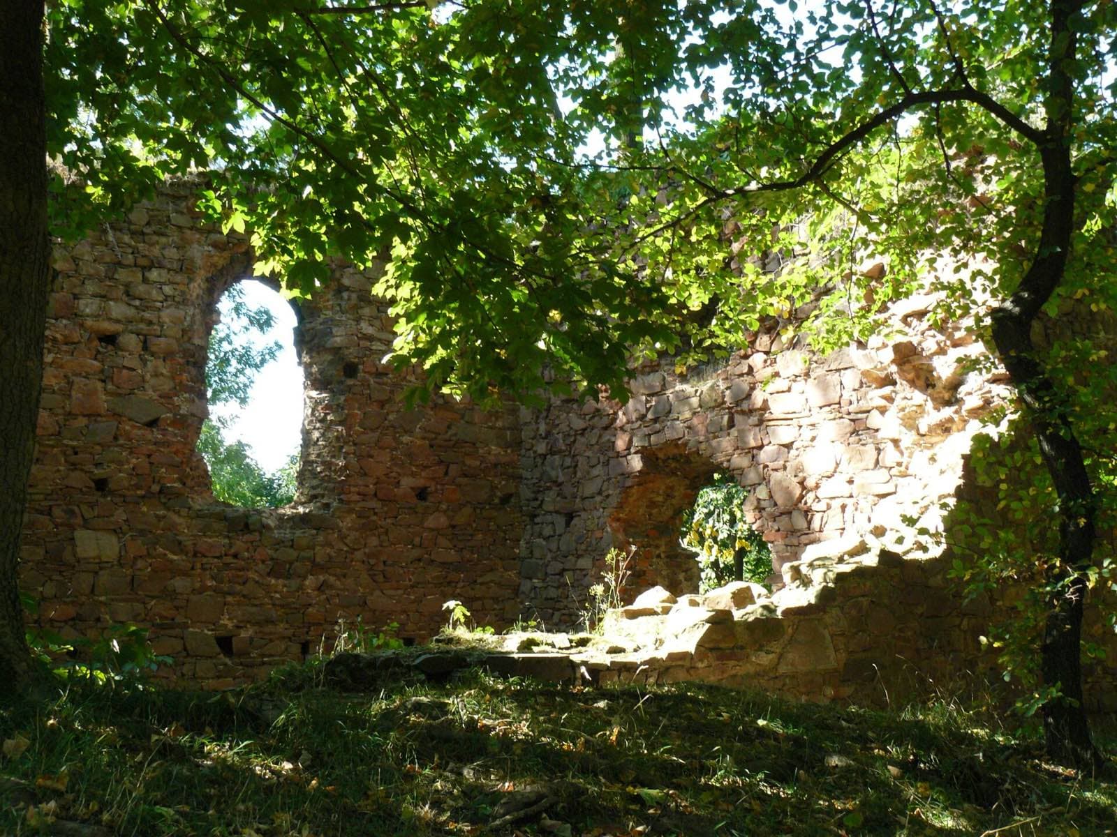 Zřícenina Fulštejn