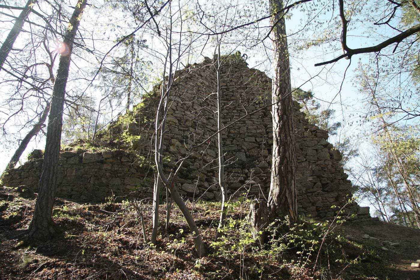 Zřícenina Holoubek