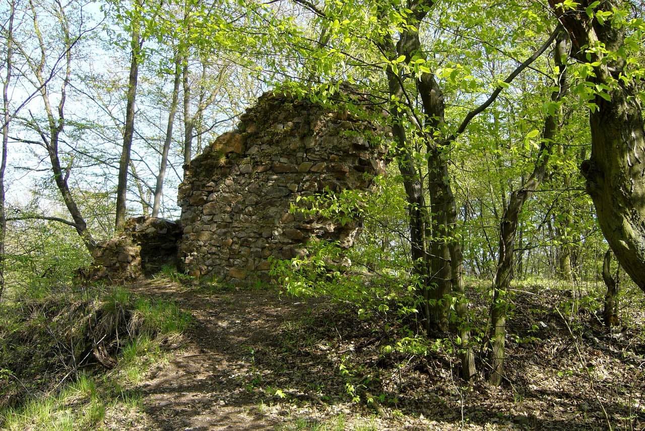 Zřícenina Hrádek u Ejpovic