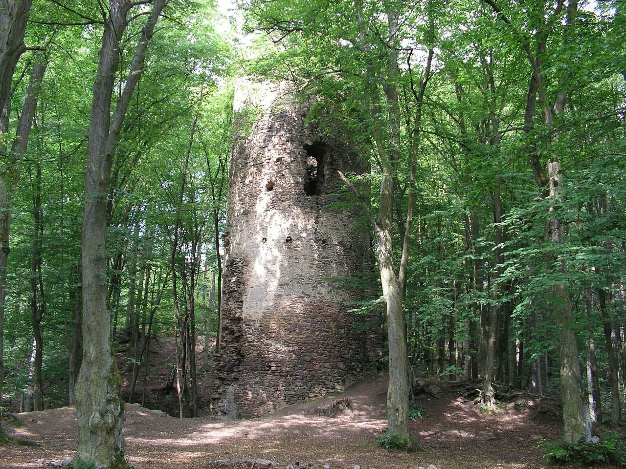 Zřícenina hradu Chřenovice