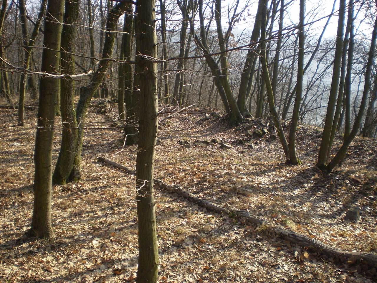 Zřícenina hradu Horákov