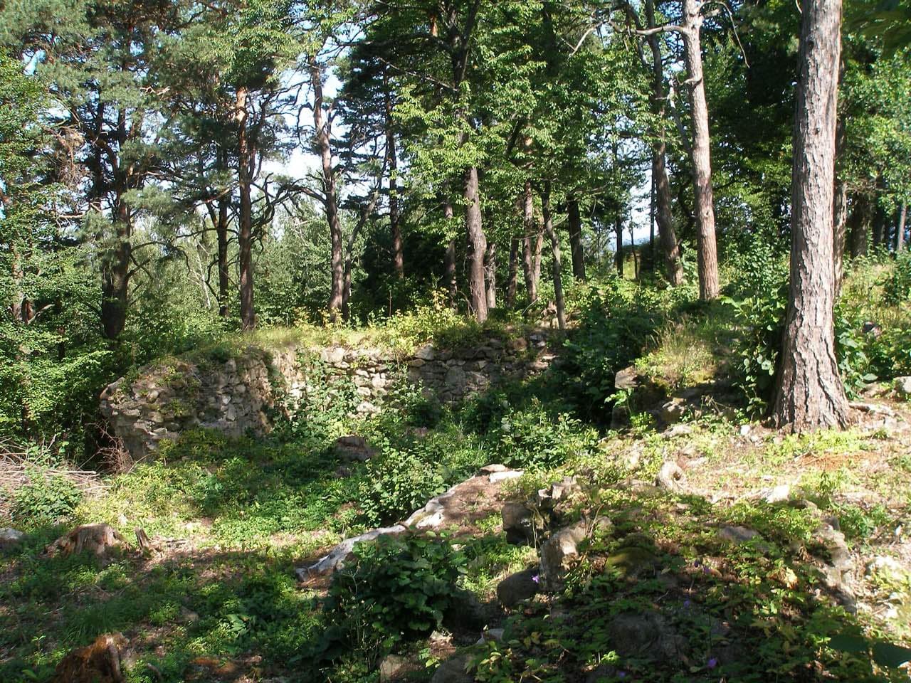 Zřícenina hradu Vitějovice