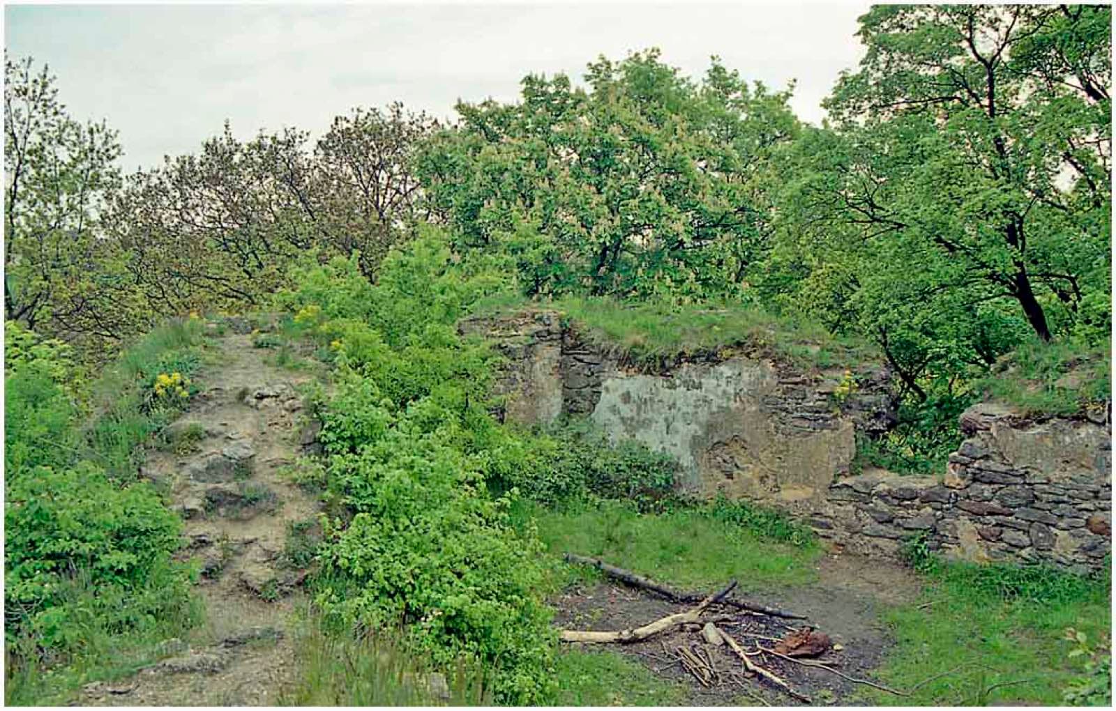 Zřícenina Hřídelík