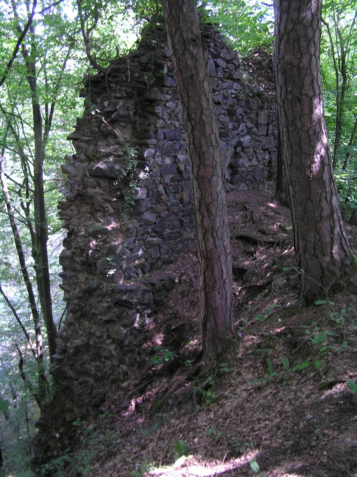 Zřícenina Kozí hřbet