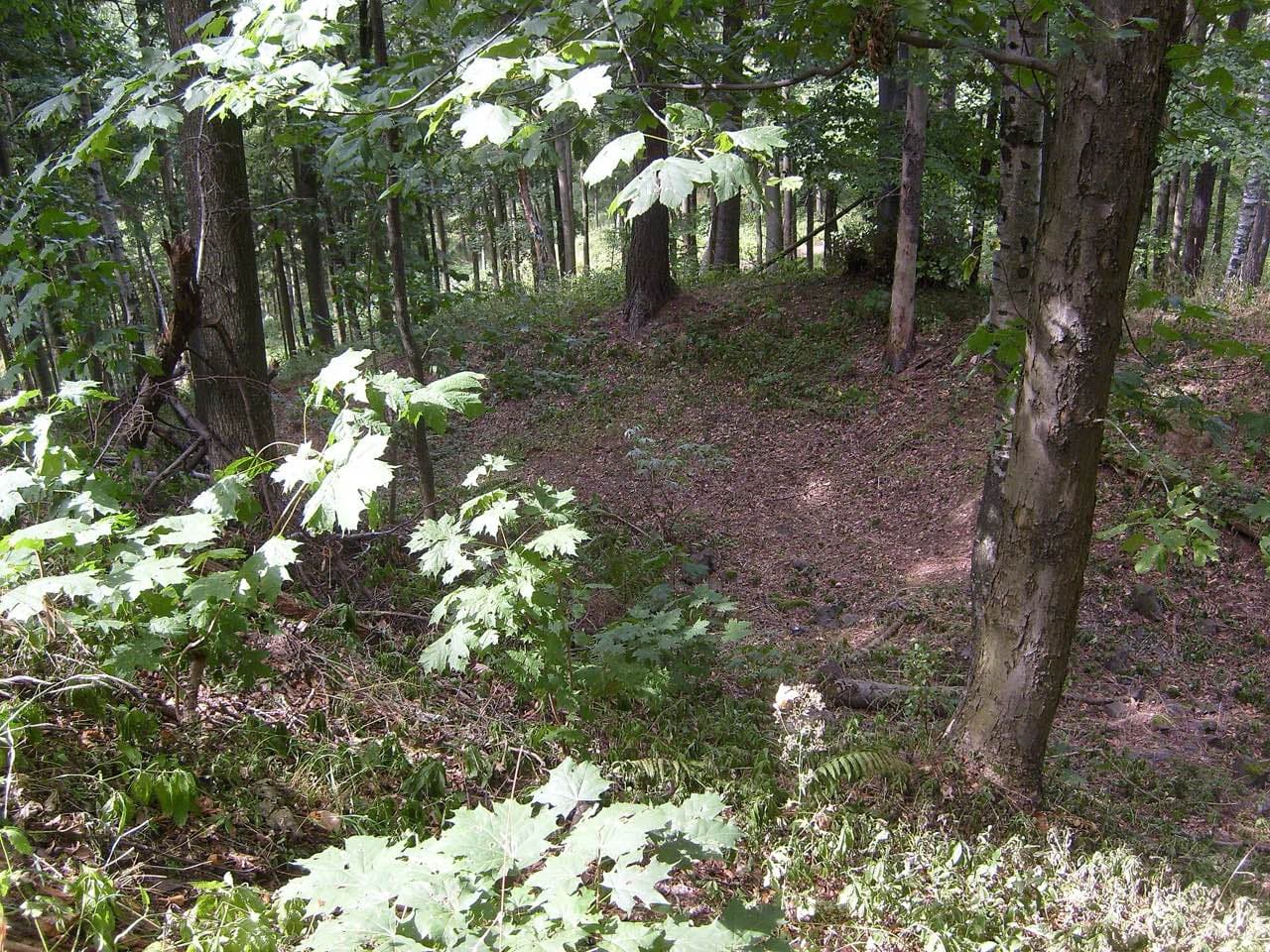 Zřícenina Kozlov u Lomnice nad Popelkou