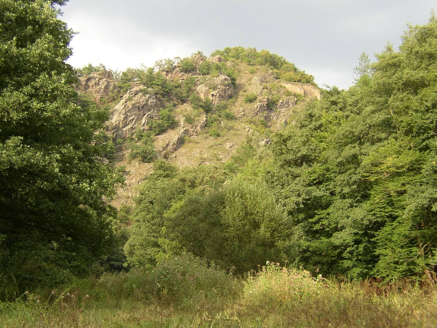 Zřícenina Levnov