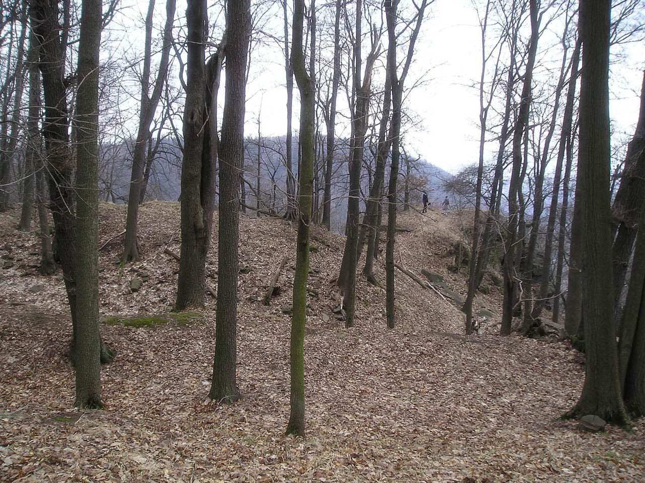 Zřícenina Najštejn