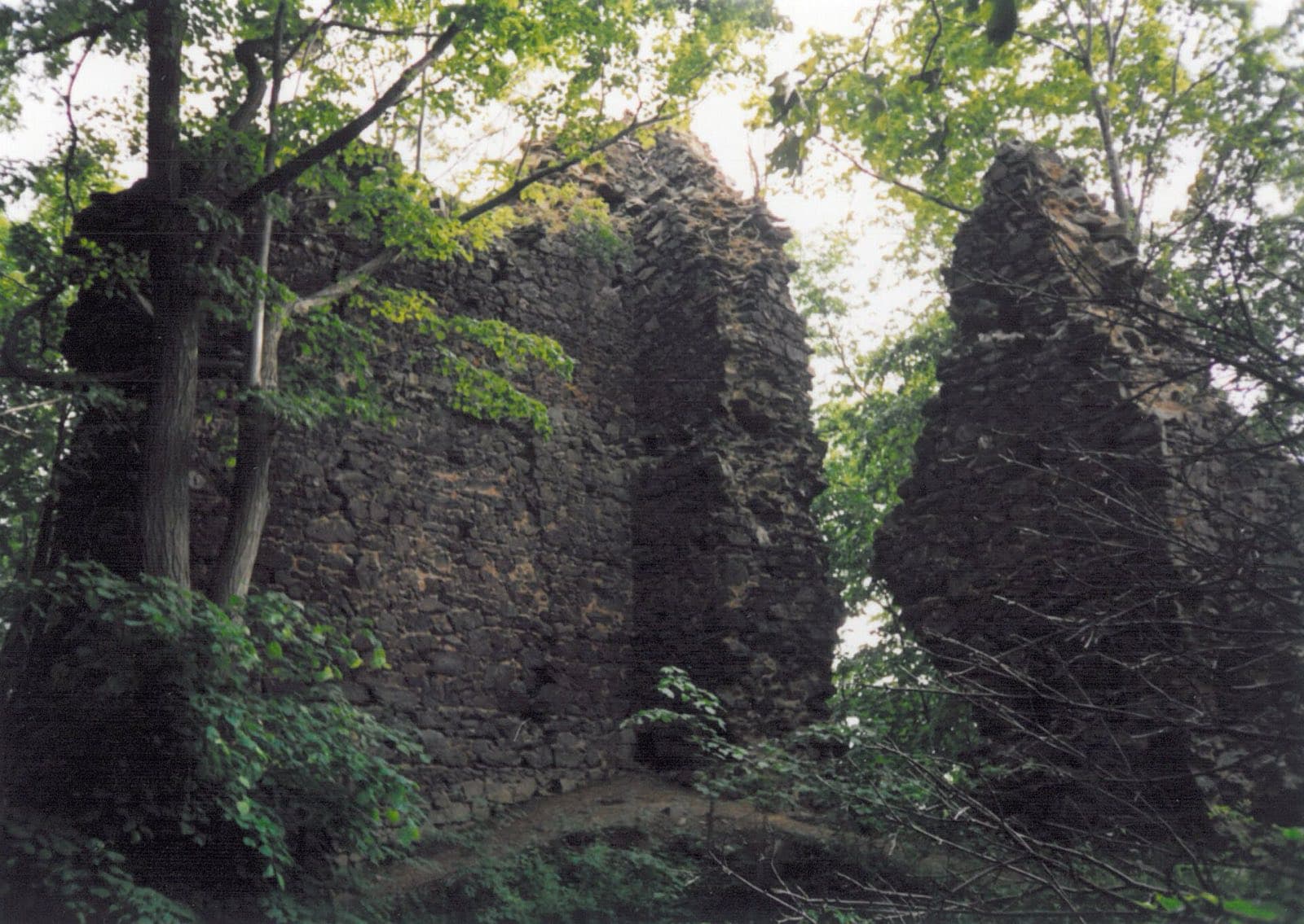 Zřícenina Netřeb