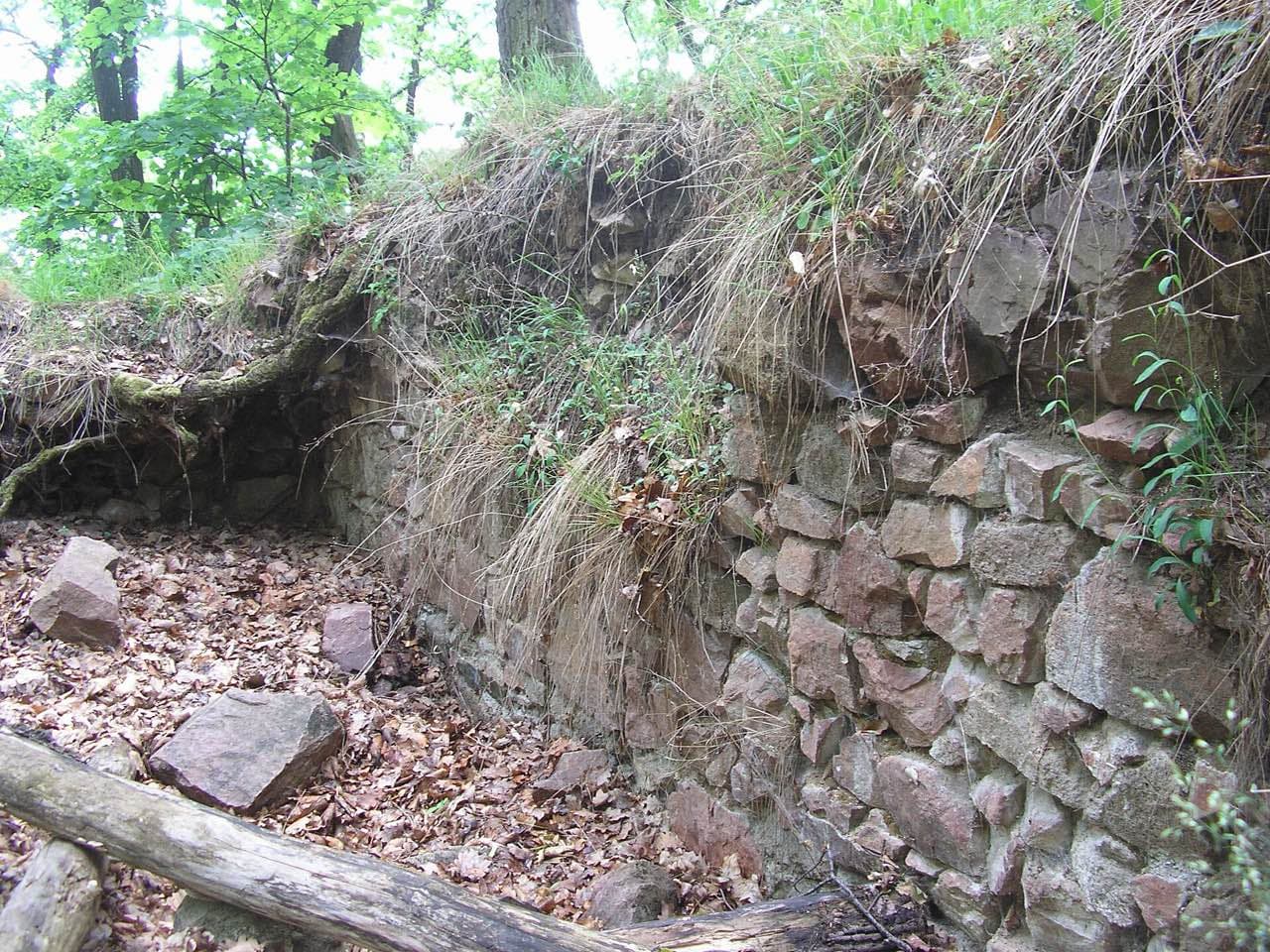 Zřícenina Obřany