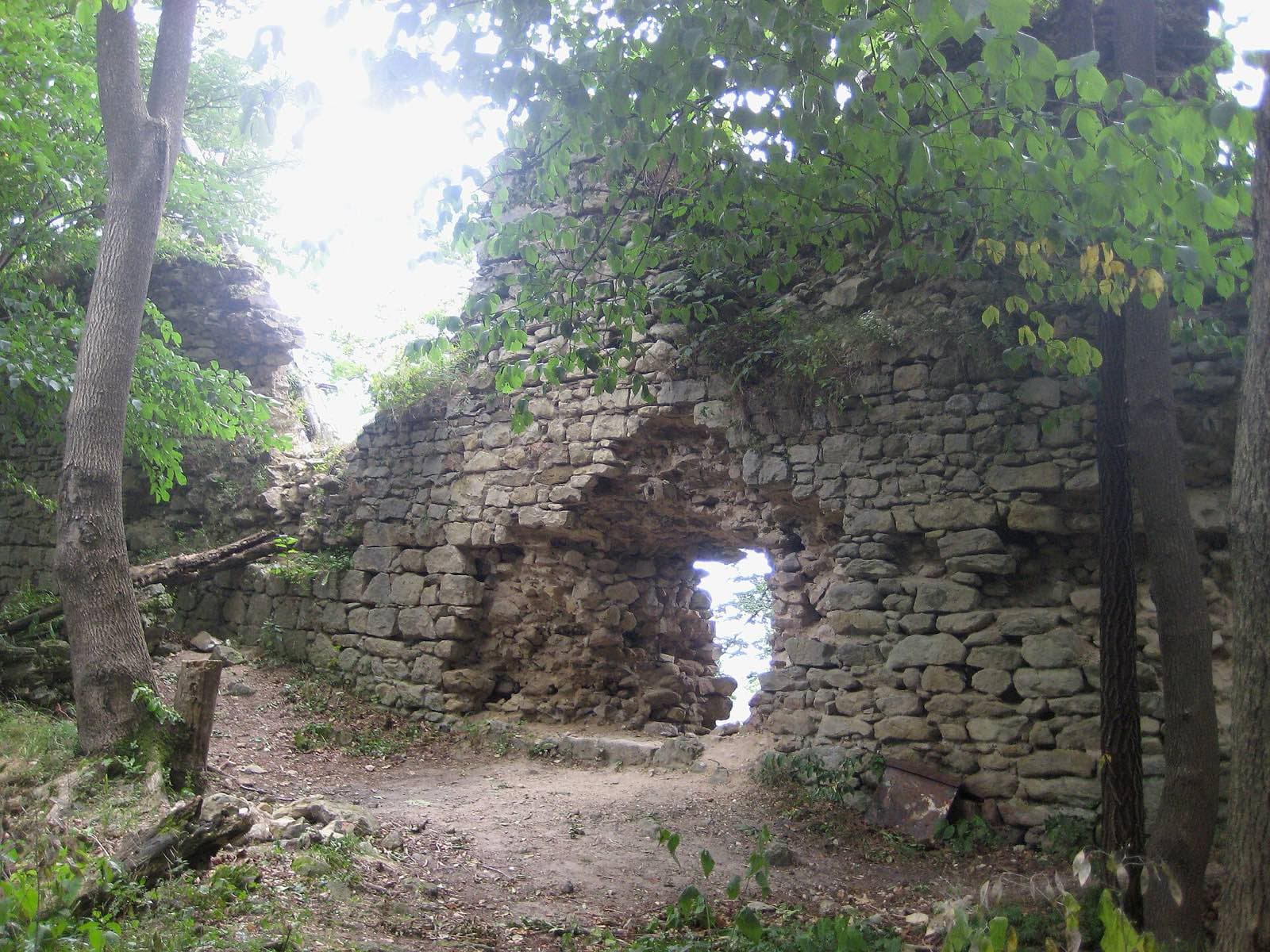 Zřícenina Obřany