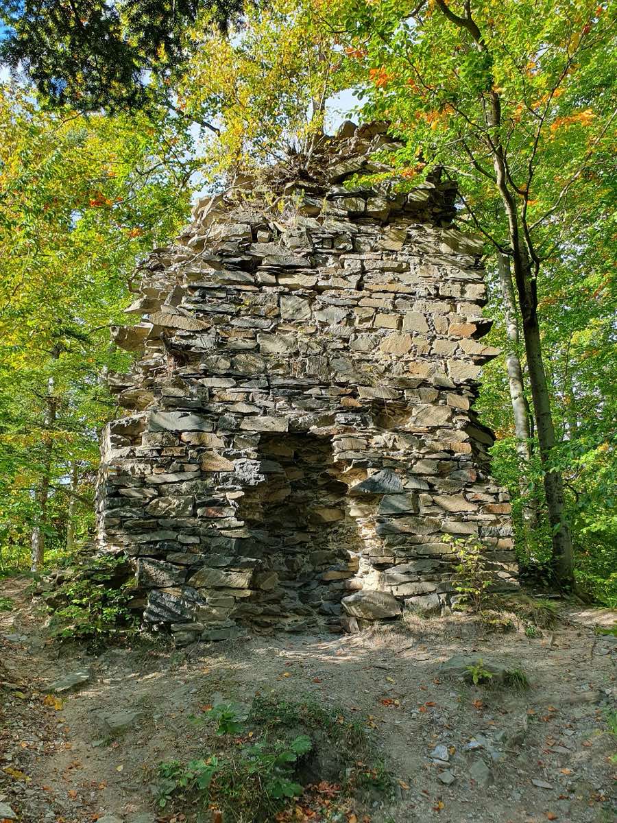 Zřícenina Potštát