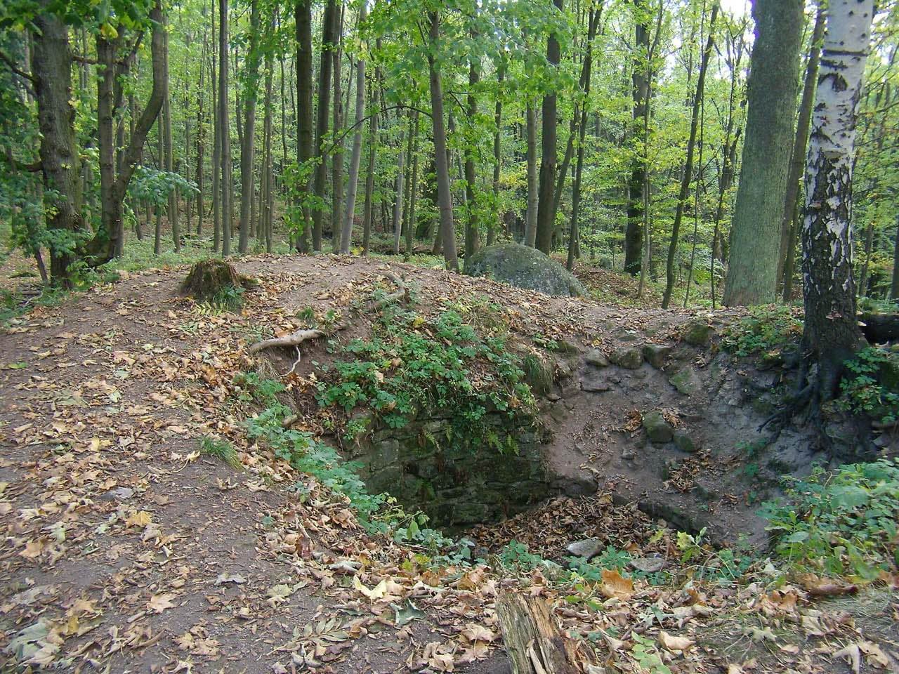 Zřícenina Potštejn u Žinkov