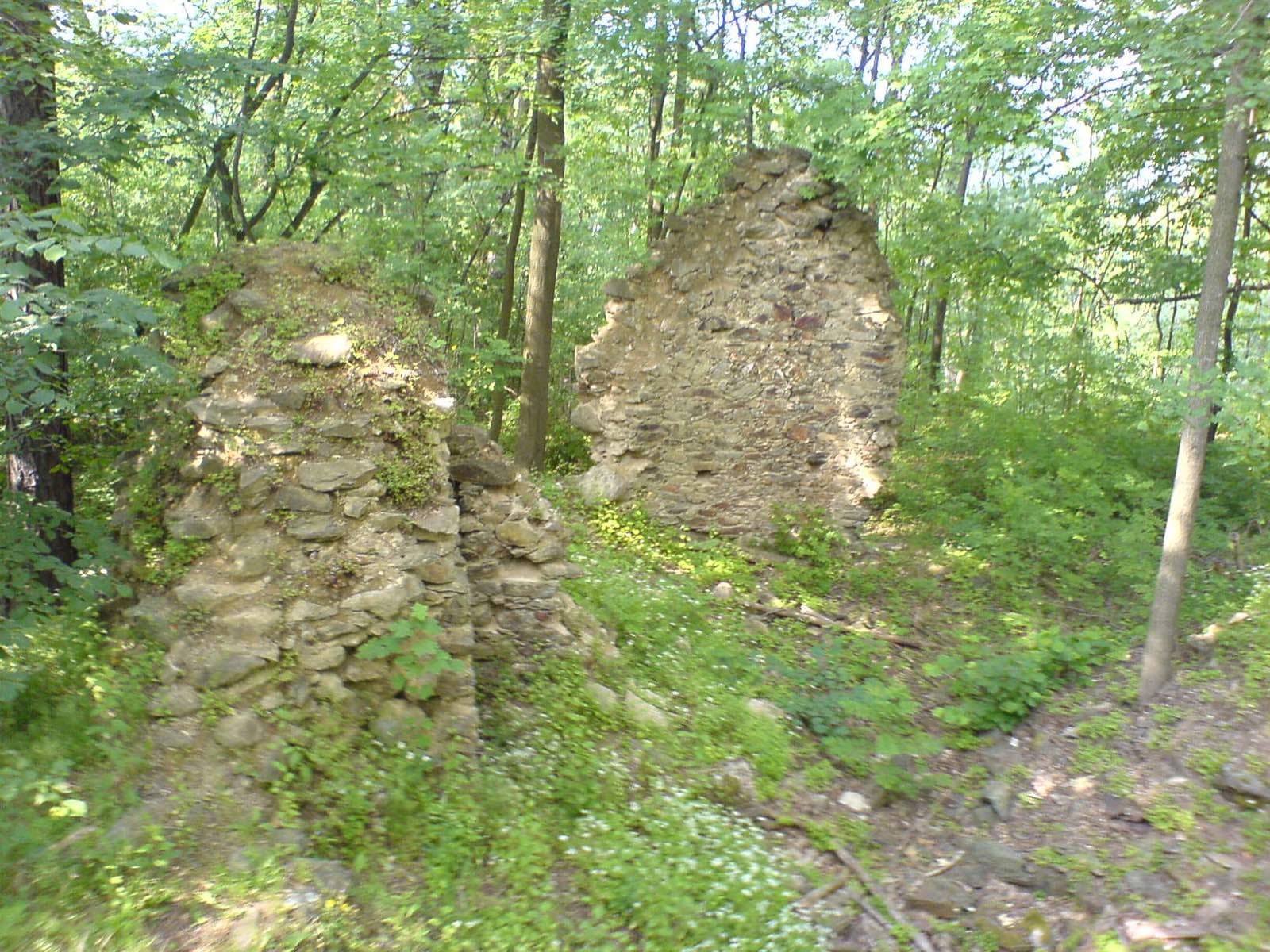 Zřícenina Pušperk