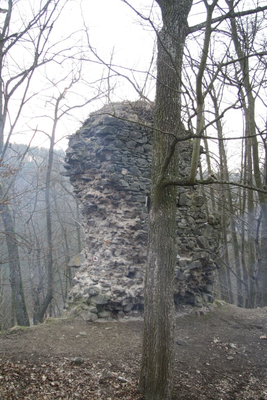 Zřícenina Rabštejn u Dukovan
