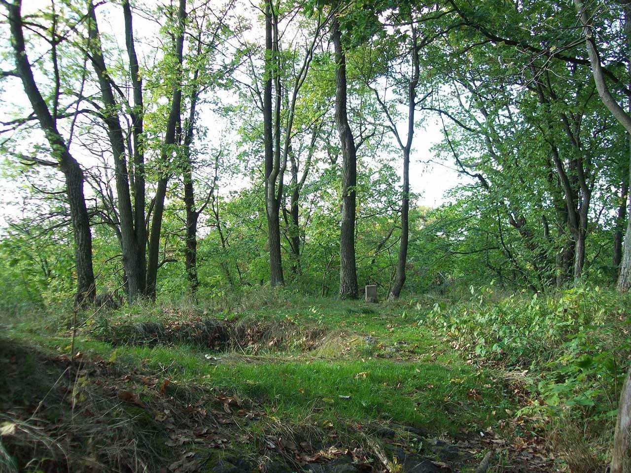 Zřícenina Řebřík