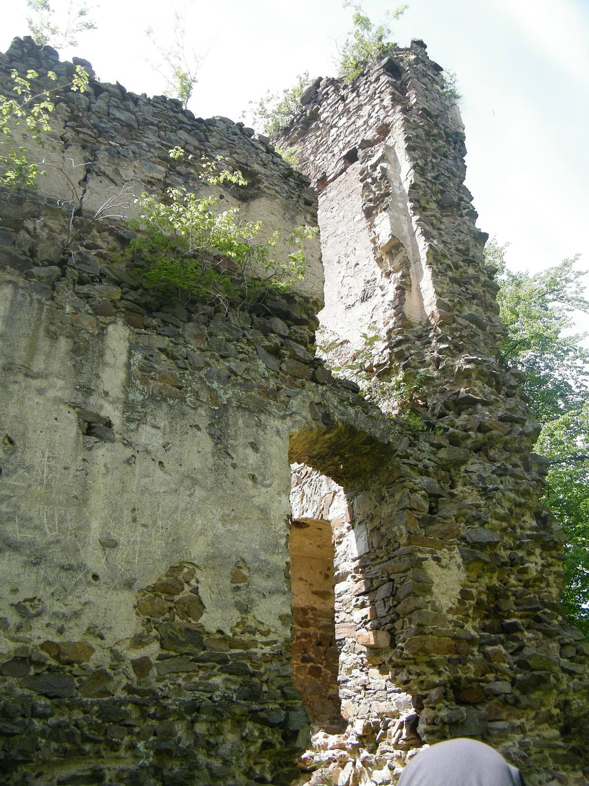 Zřícenina Ronov u Přibyslavi