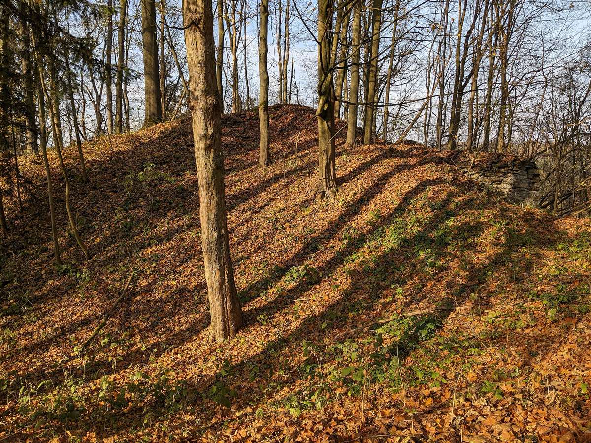 Zřícenina Rýzmburk u Žernova