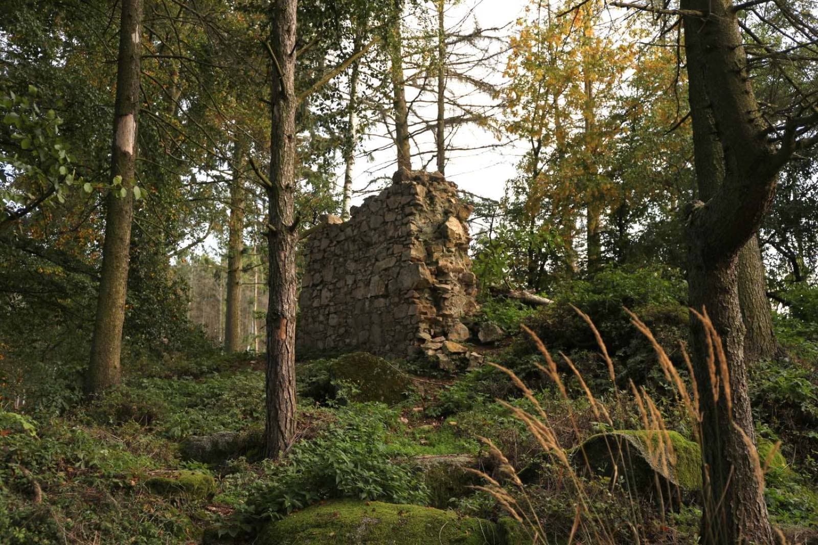 Zřícenina Templštejn u Dolních Heřmanic