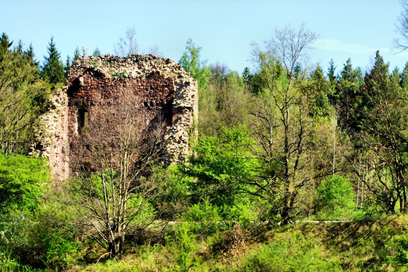 Zřícenina tvrze Hrochův hrádek