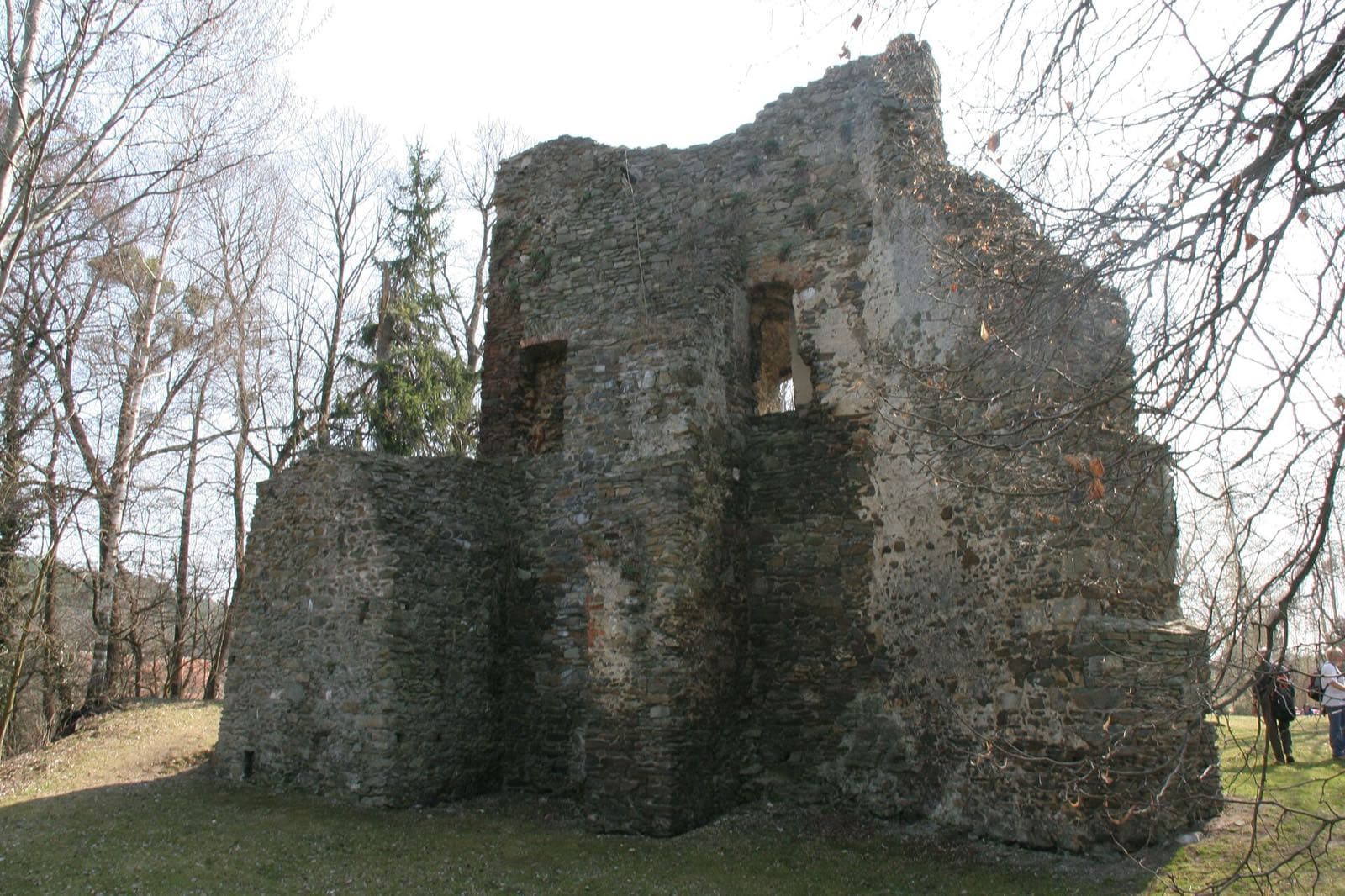 Zřícenina tvrze Svojšice