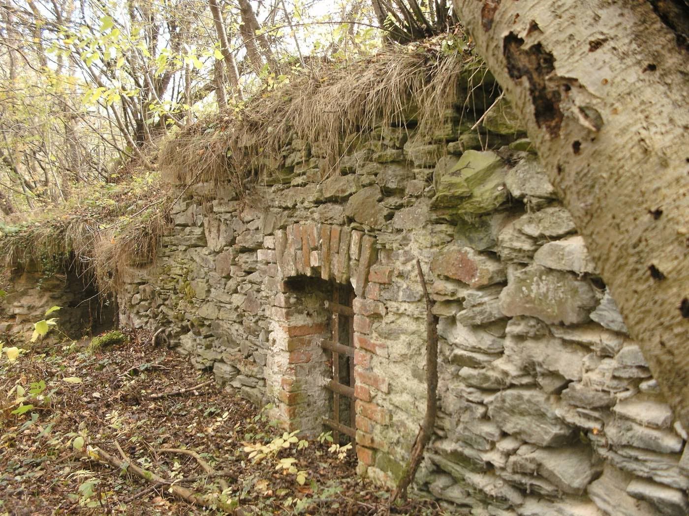 Zřícenina tvrze Tasnovice