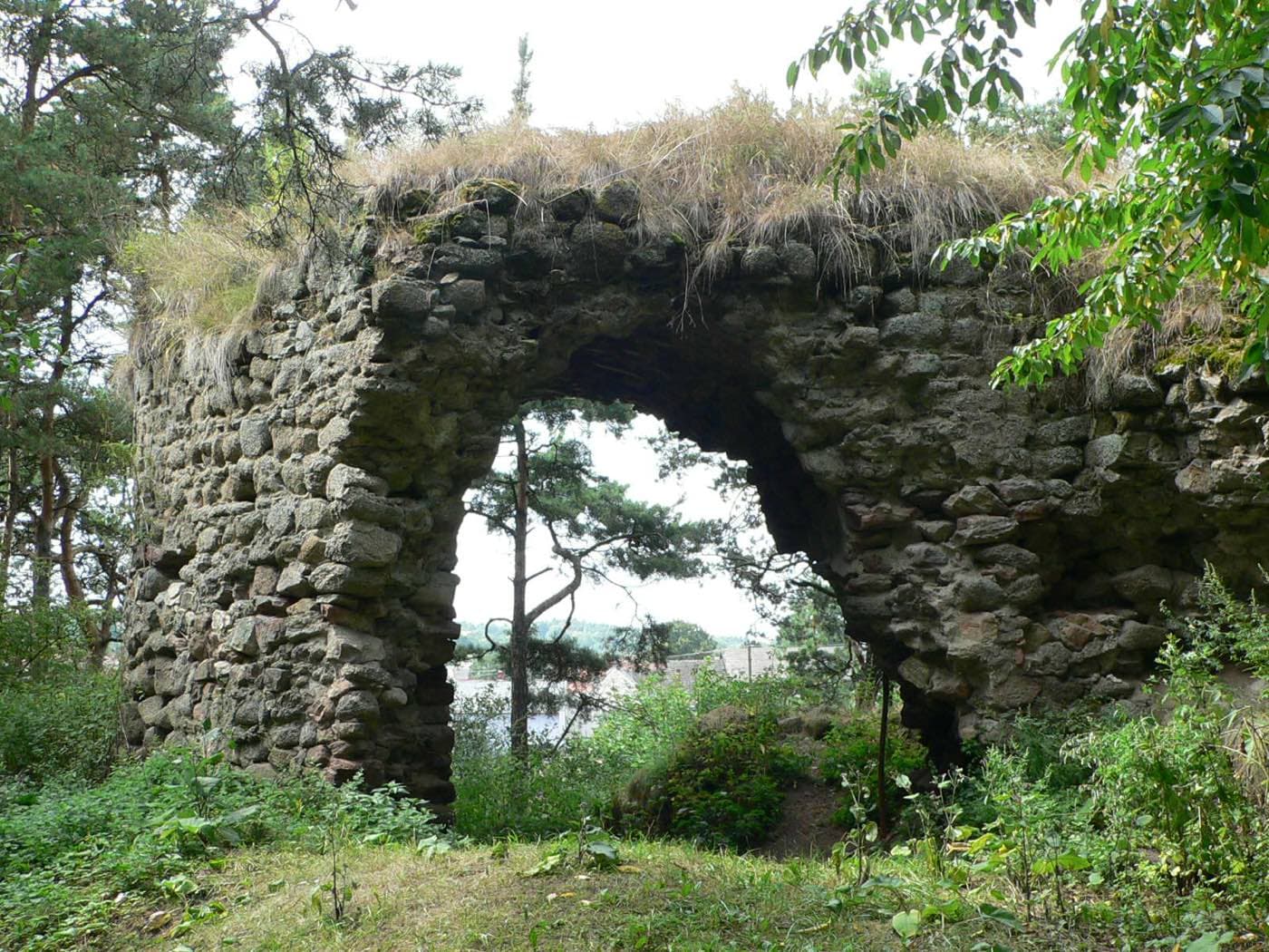 Zřícenina tvrze Tasov