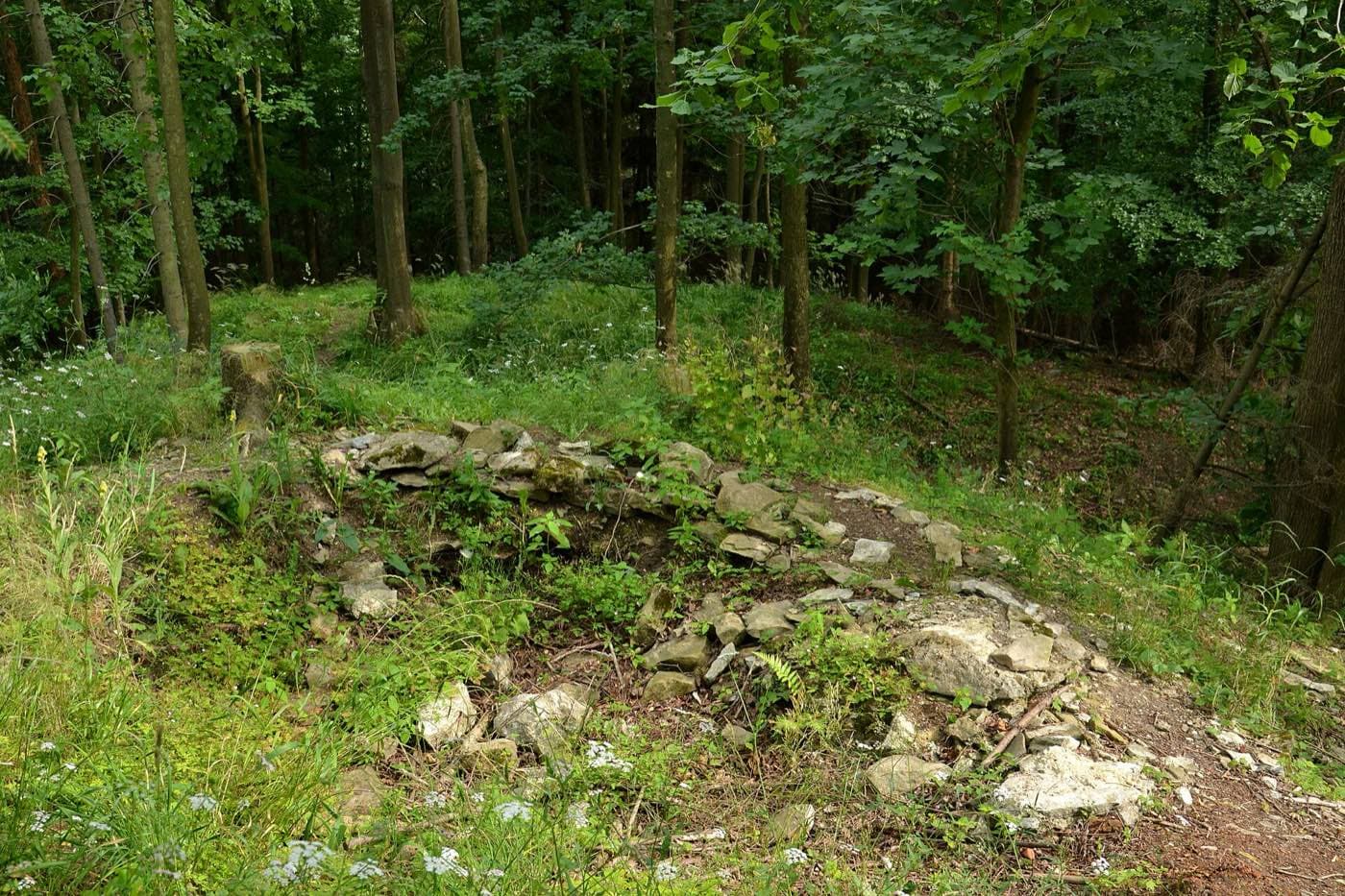 Zřícenina Vlčinec