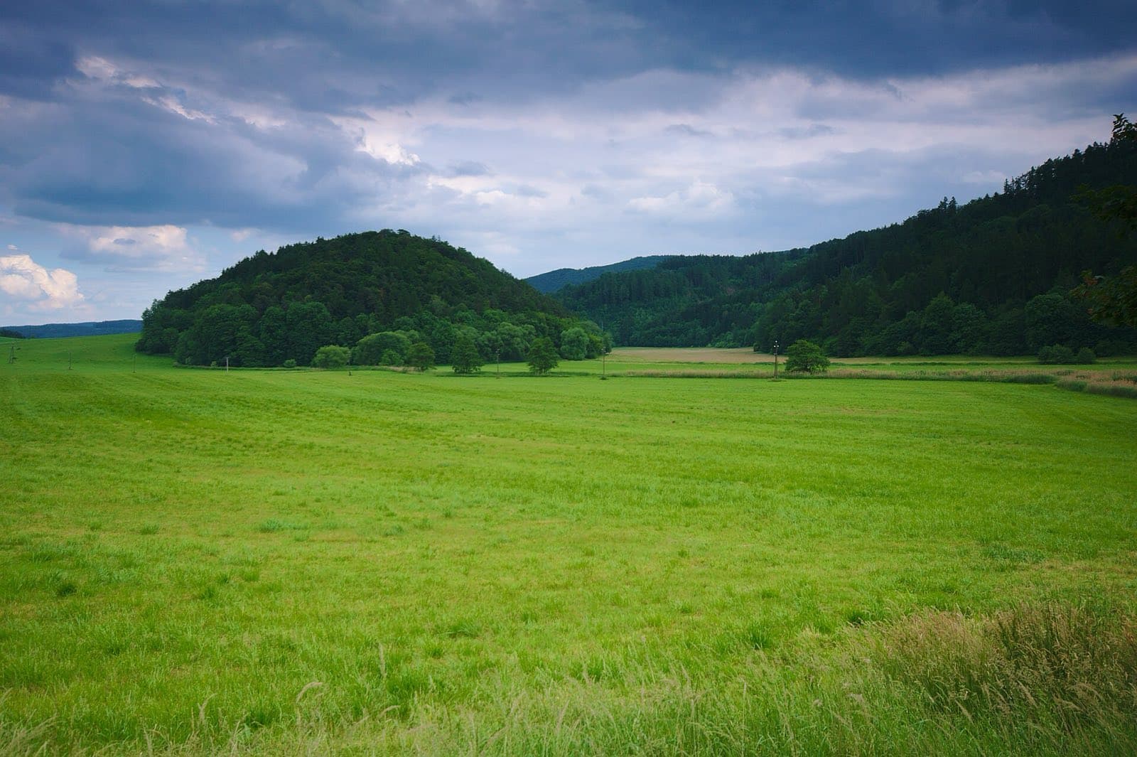 Zřícenina Vraní Hora
