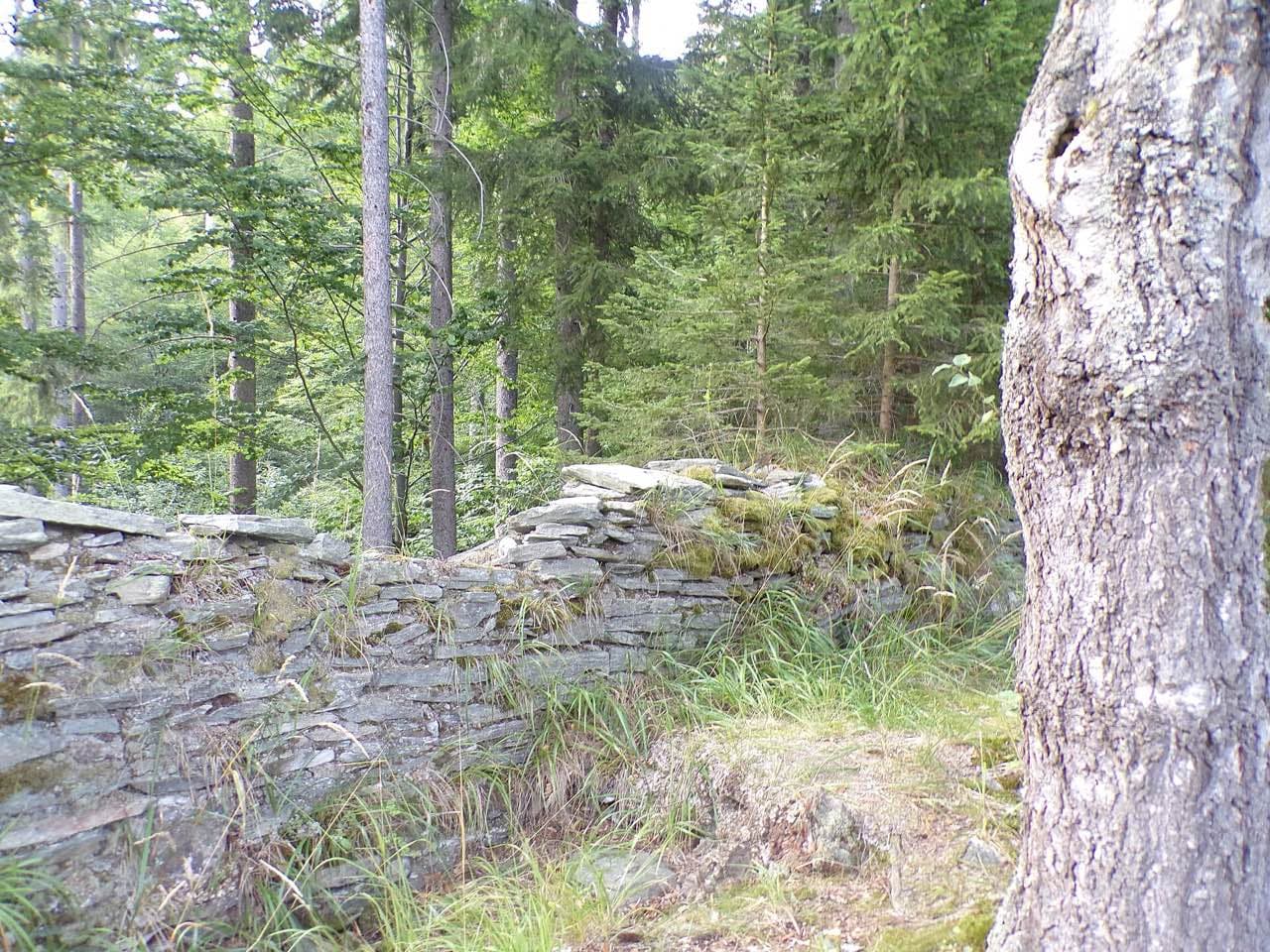 Zříceniny Veisenštejn a Rabenštejn